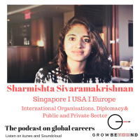 #2 Working in international organisations and diplomacy - Lets grow with Mishti!