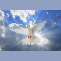 Holy Spirit - The Gospels