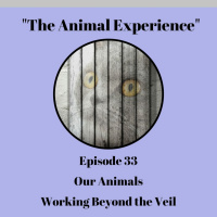 Episode 33: Our Animal Working Beyond the Veil