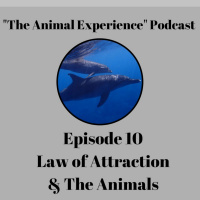 Episode 10 LOA  Animals