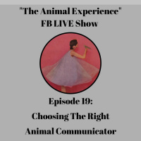 Episode 19: How To Choose The Right Animal Communicator