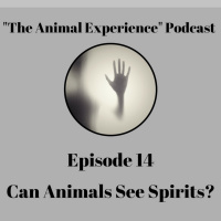Episode 14 Can Animals See Spirits?