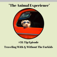 Episode 31: Tips For Travel With  Without Your Pete