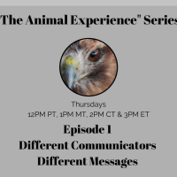 Episode 1 Different Animal Communicators, Different Messages