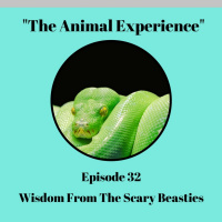 Episode 32: What Can We Learn From The Scary Beasties?