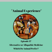 Episode 37: Alternative or Allopathic Medicine? Which Do Animals Prefer?
