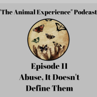 Episode 11 Abuse It Doesnt Define Them