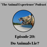 Episode 20: Do Animals Lie?