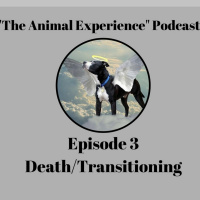 Episode 3 Transitioning/Death