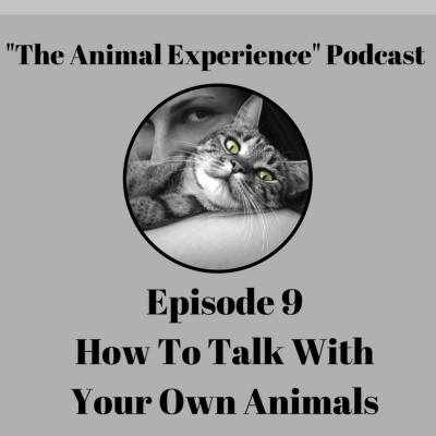 The Animal Experience