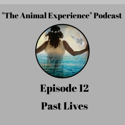 The Animal Experience