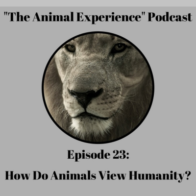 The Animal Experience