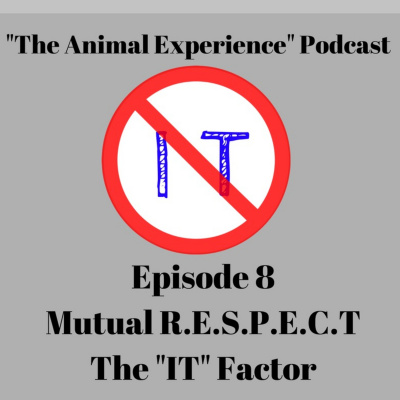 The Animal Experience