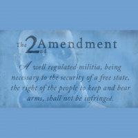 16: The Second Amendment: A Well-Aggravated Militia