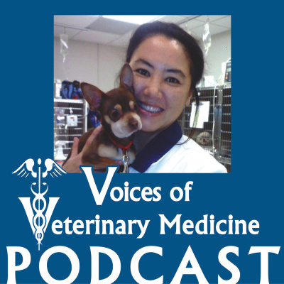 Voices Of Veterinary Medicine