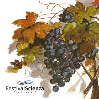 Il ragno e l’uva. Una favola di Leonardo da Vinci