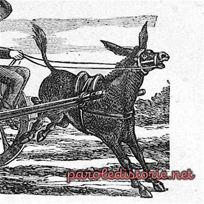 Parole Di Storie - Fiabe-favole-leggende-mitologia