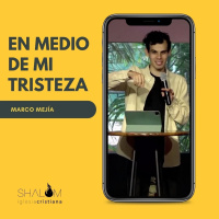En medio de mi tristeza - Marco Mejía