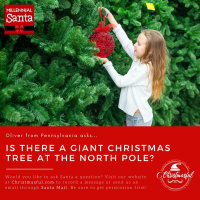  Is there a Giant Christmas Tree at the North Pole? (Oliver from Pennsylvania)