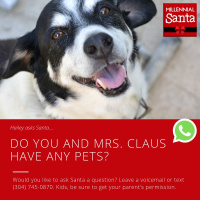 Do You Have Any Pets at the North Pole? (Email from Hailey)