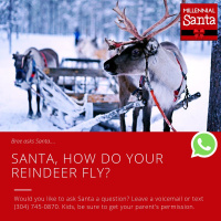How Do Your Reindeer Fly? (Text from Bree)