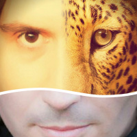 Dany Cohiba Spiritual Sets March 2017