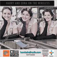 Harry  Edna on the Wireless ~The Hummingbirds