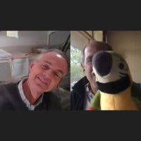 Parrot Room: Touch my beak and I’ll buy you a horse