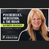 Psychedelics, Meditation, and the Brain (Robert Wright amp Kathryn Devaney)