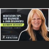 Meditation Tips for Beginners (and Non-Beginners) (Robert Wright amp Kathryn Devaney)