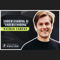 Understanding AI Understanding (Robert Wright amp Nathan Labenz)