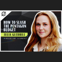 How to Slash the Pentagon Budget | NonZero World feat. Julia Gledhill