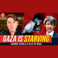 Anatomy of a Man-Made Famine | NonZero World feat. Alex de Waal