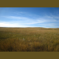 North America’s most endangered ecosystem