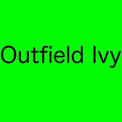 Outfield Ivy