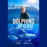 Dolphins Up Close: Behind the Scenes w/Filmmaker Bertie Gregory