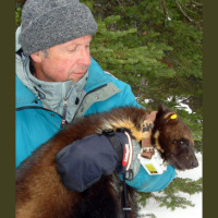 Episode 239: Wildlife Biologist and Four Fifths a Grizzly author Douglas Chadwick