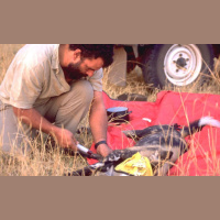 Episode 108: African Painted Dogs with Dr. Greg Rasmussen