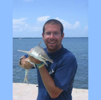 Episode 236: Dr. David Shiffman on Shark Conservation