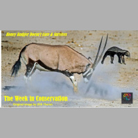 This Week in Conservation for July 6, 2018