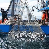 Episode 220: Is Netflixs Seaspiracy Accurate w/Corbin Maxey