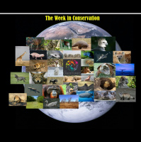 This Week in Conservation for July 13, 2018