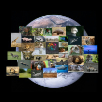 Episode 80: Zoos Matter, Aquariums Matter, Animal Education Matters w/ Corbin Maxey