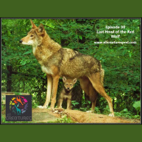 Episode 28 Last Howl of the Red Wolf
