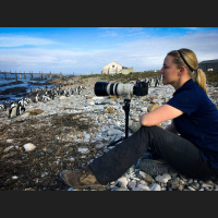Episode 127: Wildlife Educator Stephanie Arne