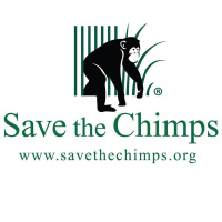 Episode 199: Save the Chimps Dr. Andrew Halloran