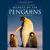 Secrets of Penguins w/ Dr. Pablo “Popi” Borboroglu