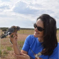 Episode 25: Dr Sarah Schulwitz and American Kestrel Conservation