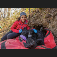 The Wild Life of Dr. Rae Wynn-Grant