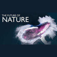 Inspiration from PBSs Future of Nature w/Verity White